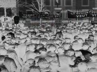 2018-05-15 - Manif_janvier_sousprefectureGD.jpg